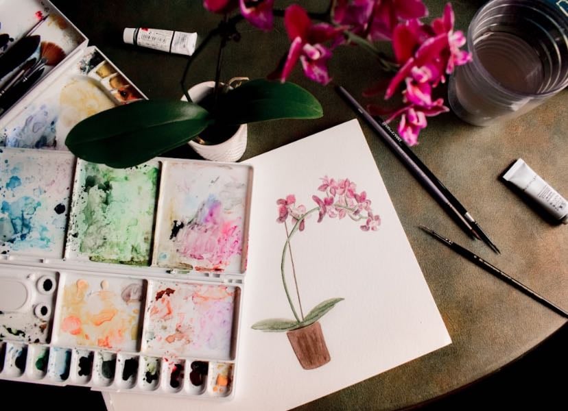 hobbies - other hypelist by Valentina de la Rosa