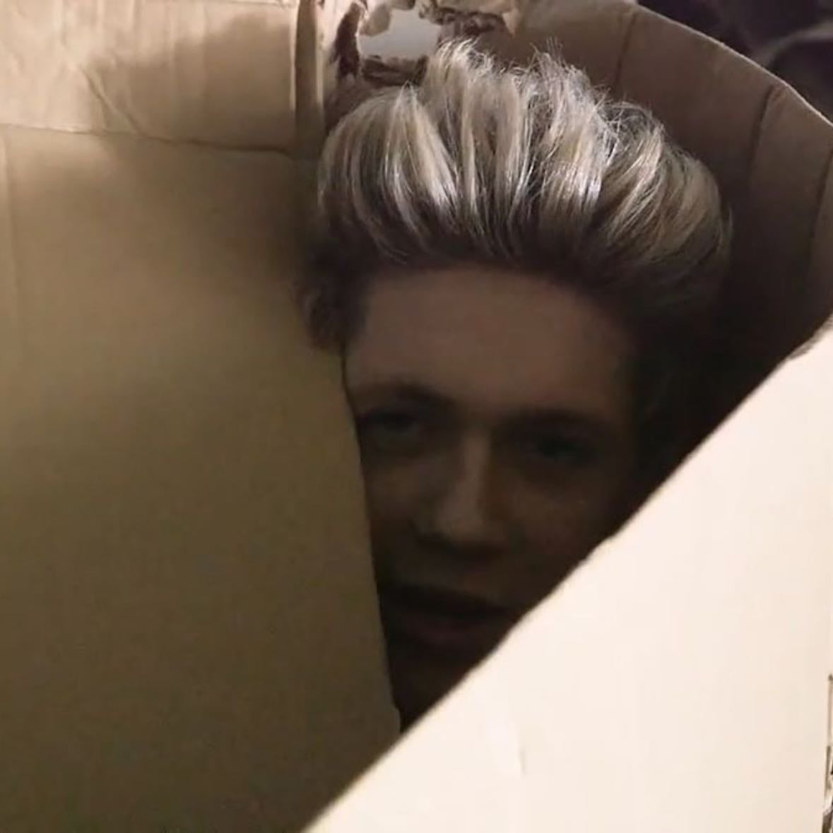 “Just chillin out in me box” - - Niall