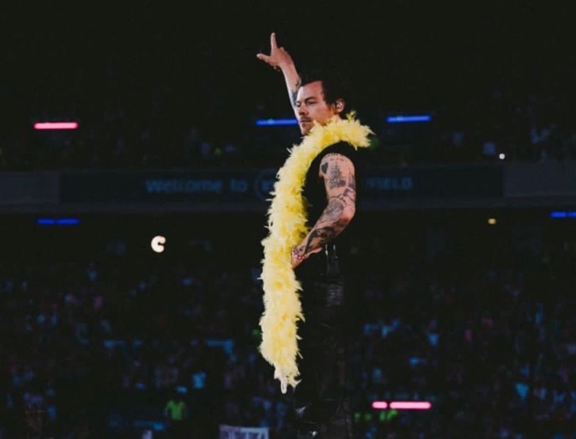 harry styles ❤️