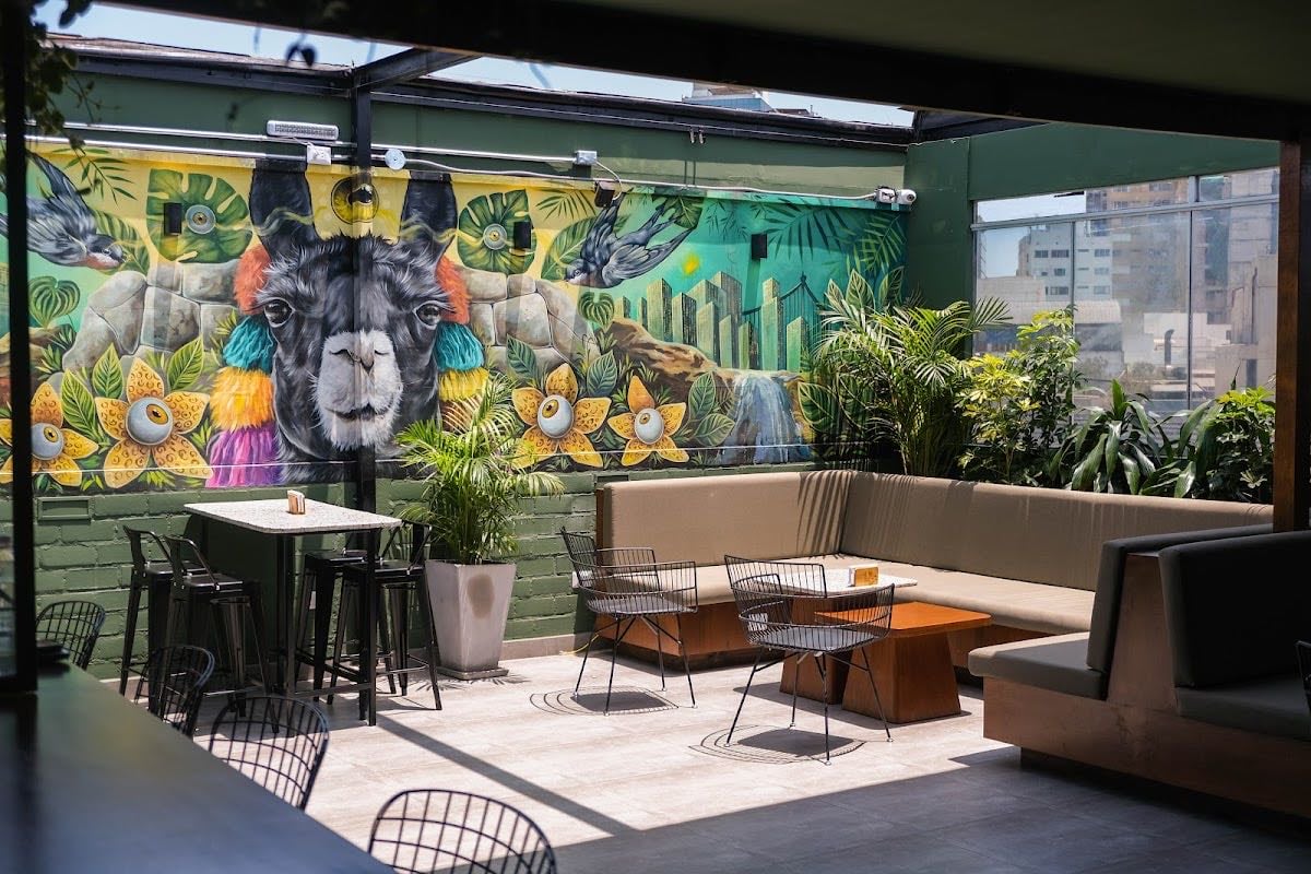 Black Llama Rooftop