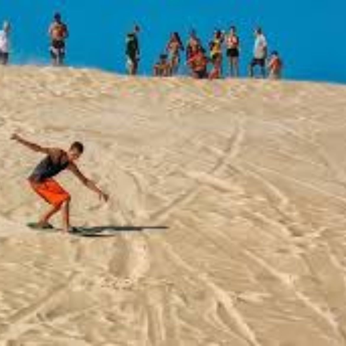 Sandboard Joaquina