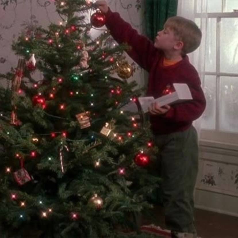 Home Alone - Chris Columbus · 1990