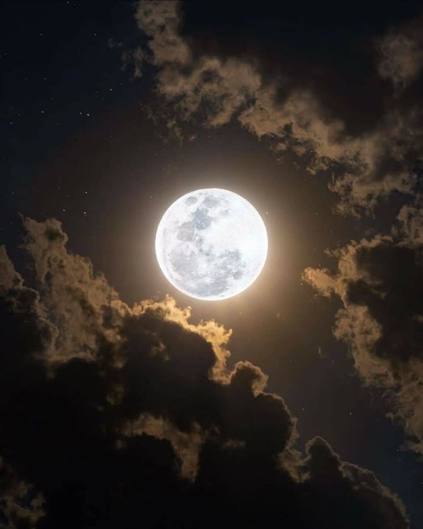 the moon - ⊹ ࣪ ⋆ ˚。