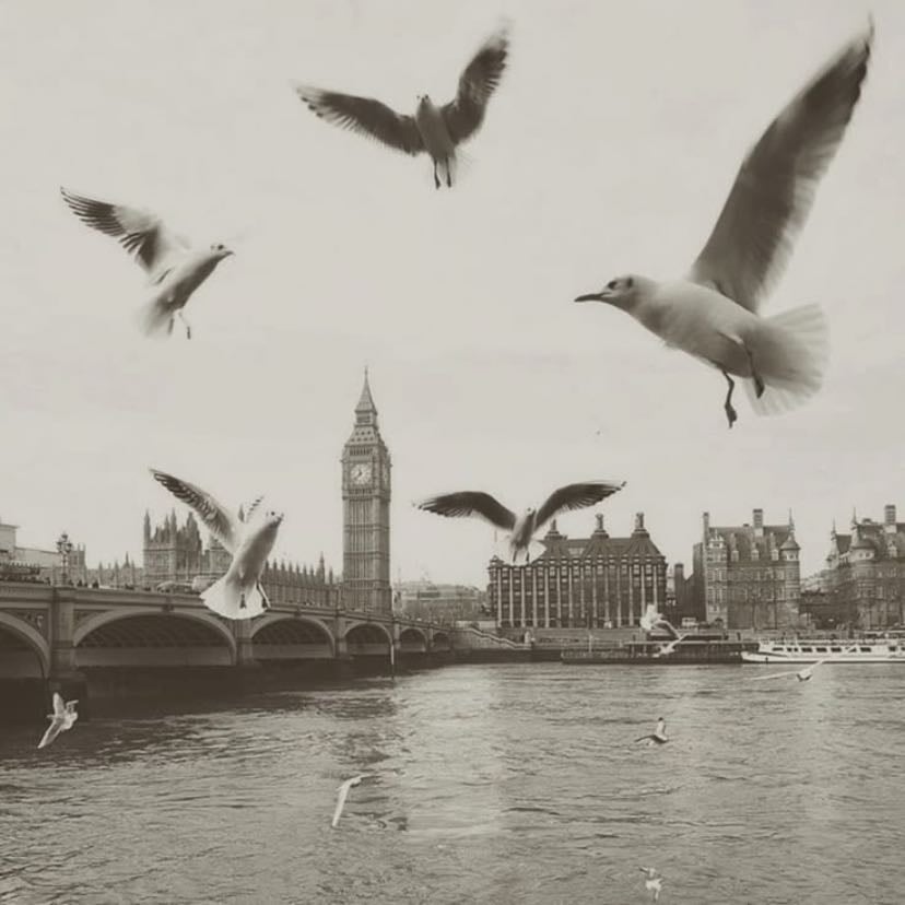 so long, london - “and you say i abandoned the ship but i was going down with it, my white knuckle dying grip, holding tight to your quiet resentment”