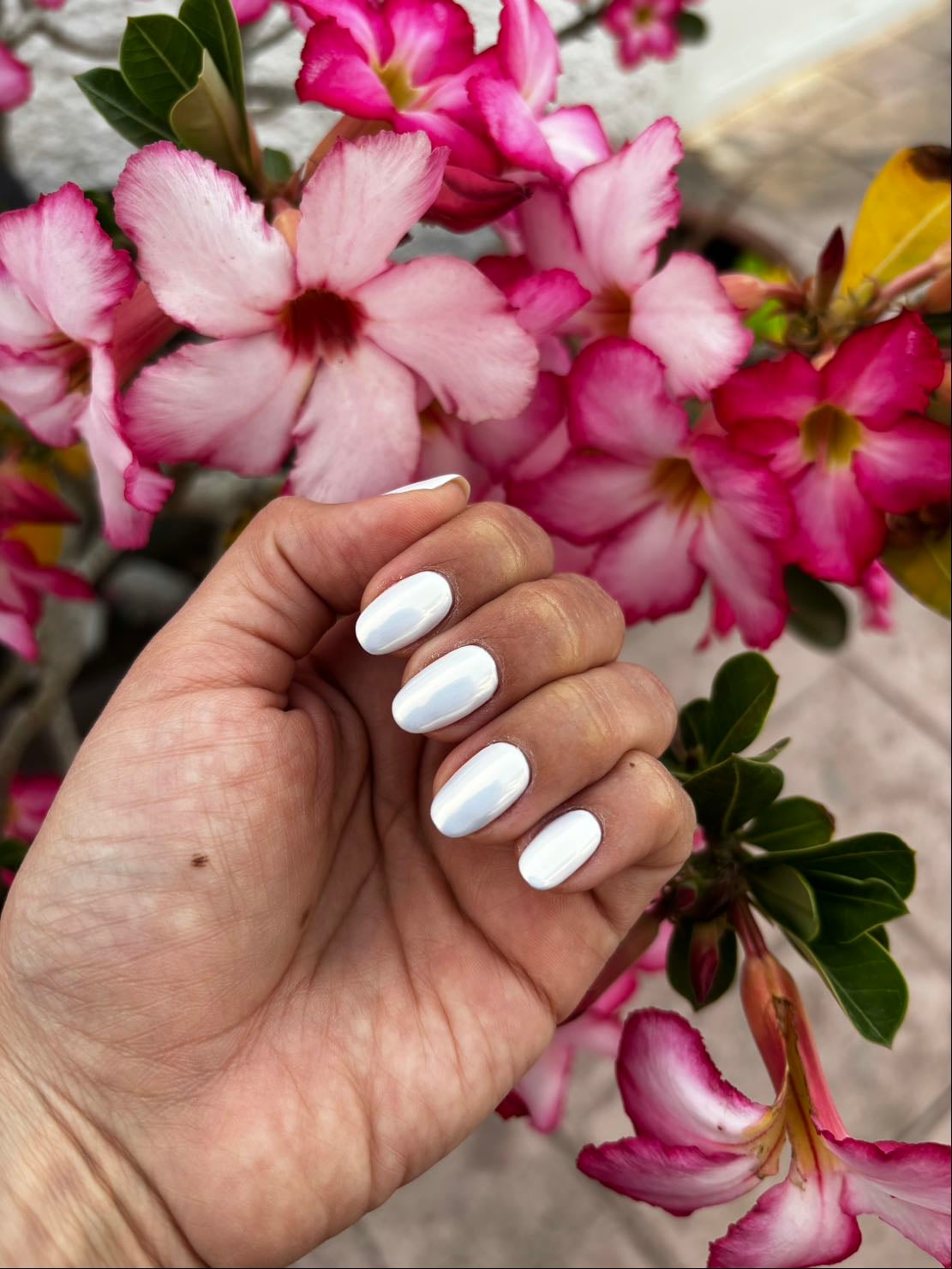 Blanco con efecto glaseado - Mar’25