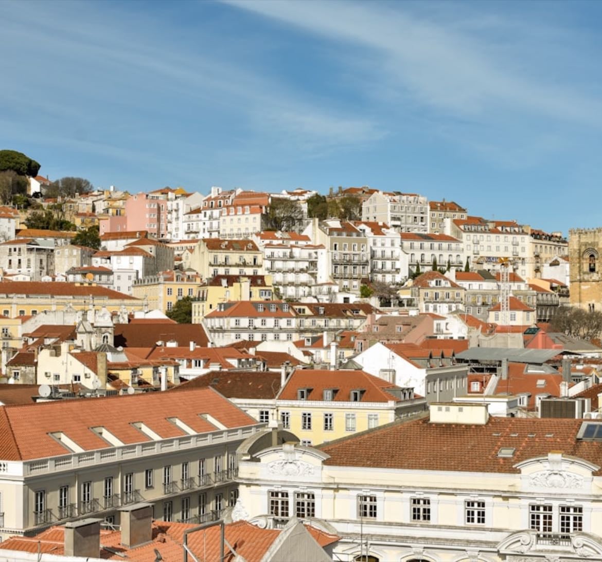 Physical tbr - portuguese lit