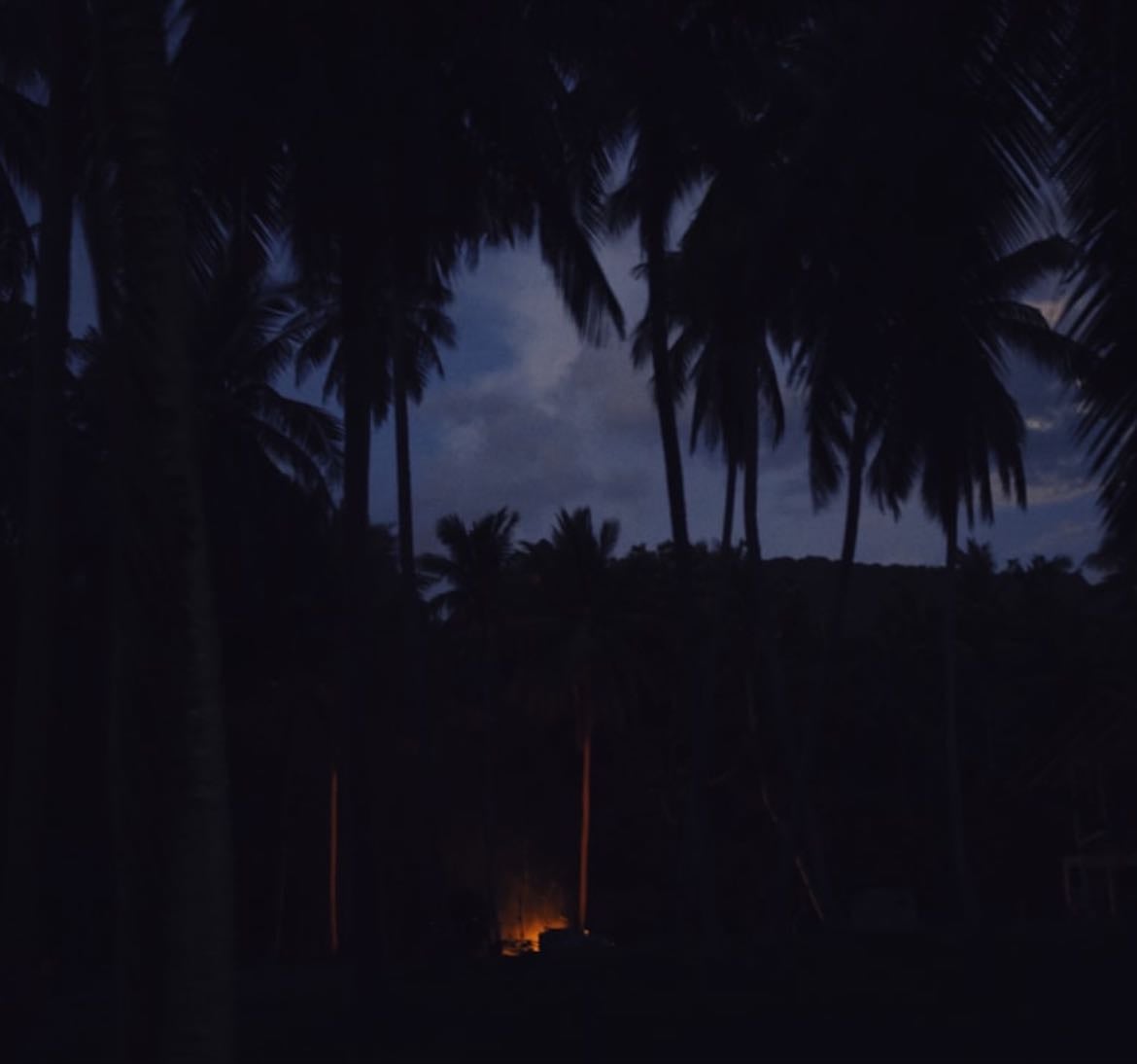 Physical tbr - caribbean lit