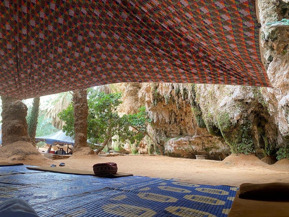 Terjit Oasis