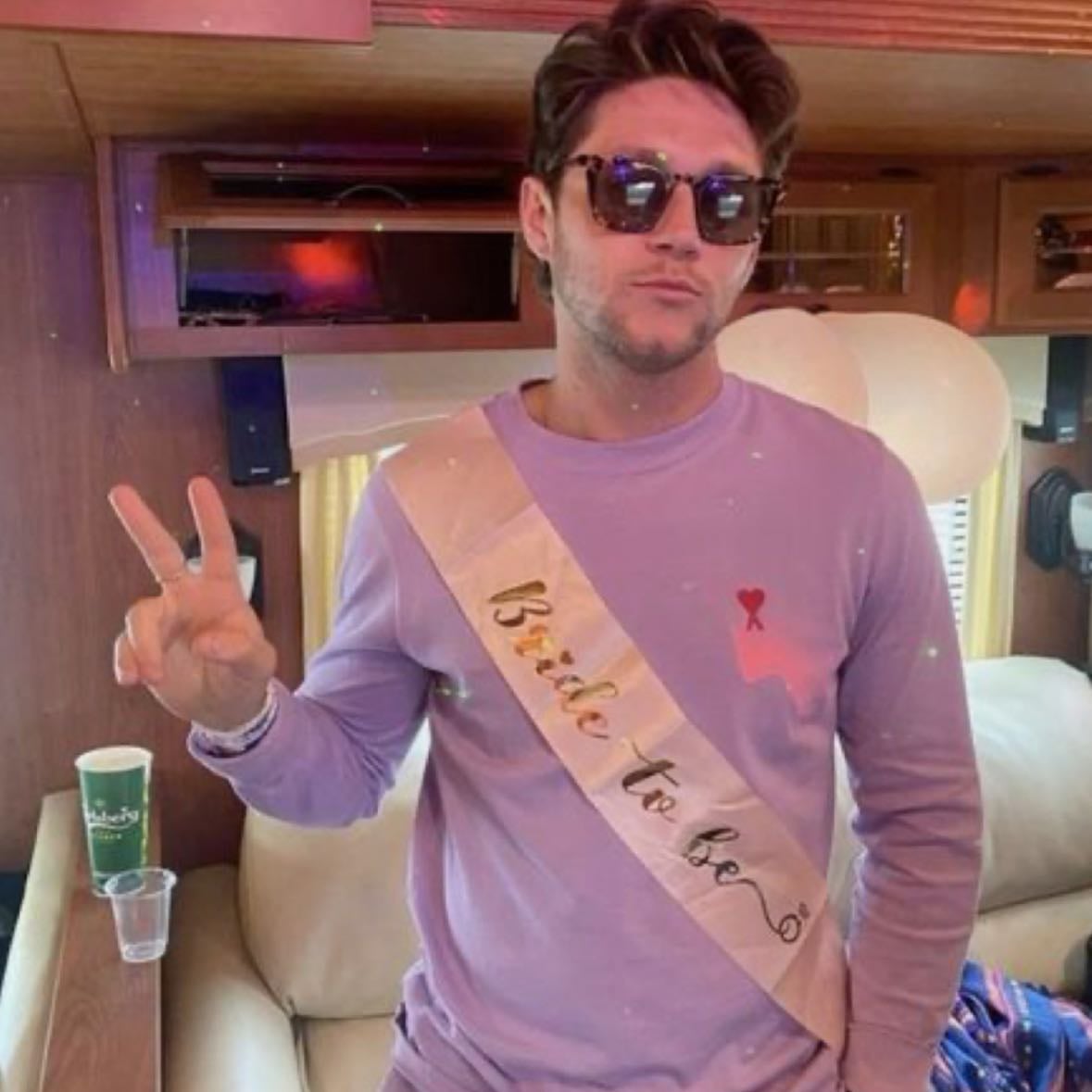 Niall Horan - Artist