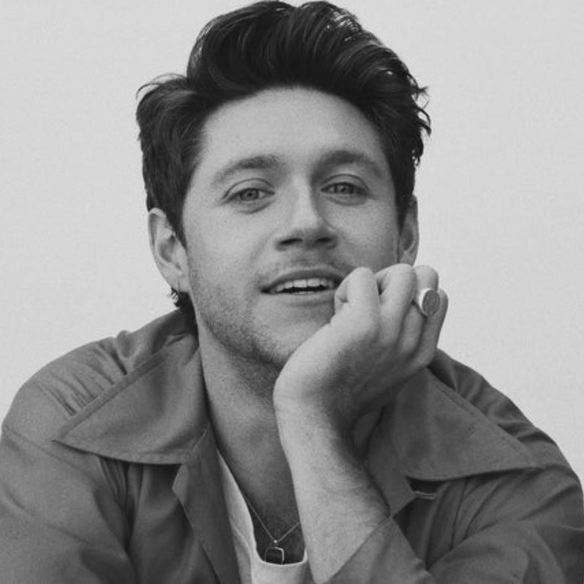 Niall Horan - Artist