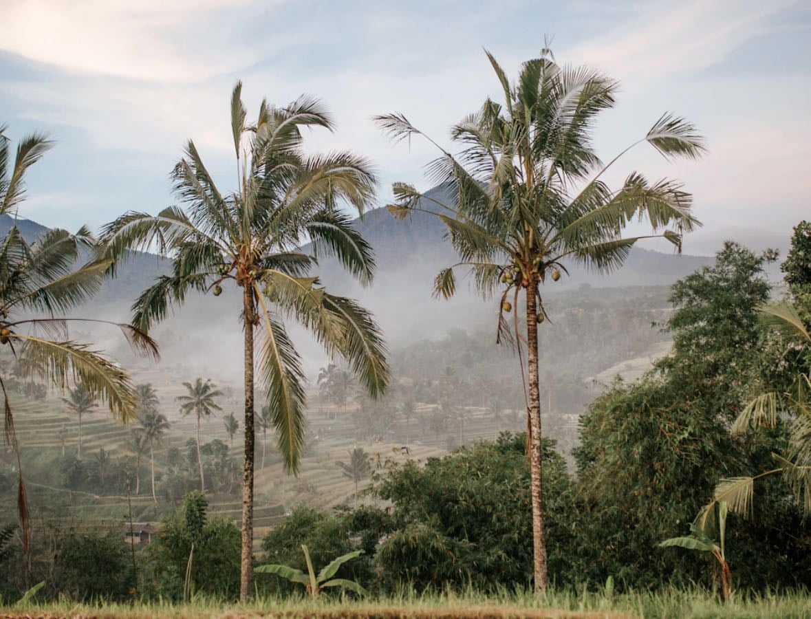 Bali (Superguide) - Places hypelist by Fausto