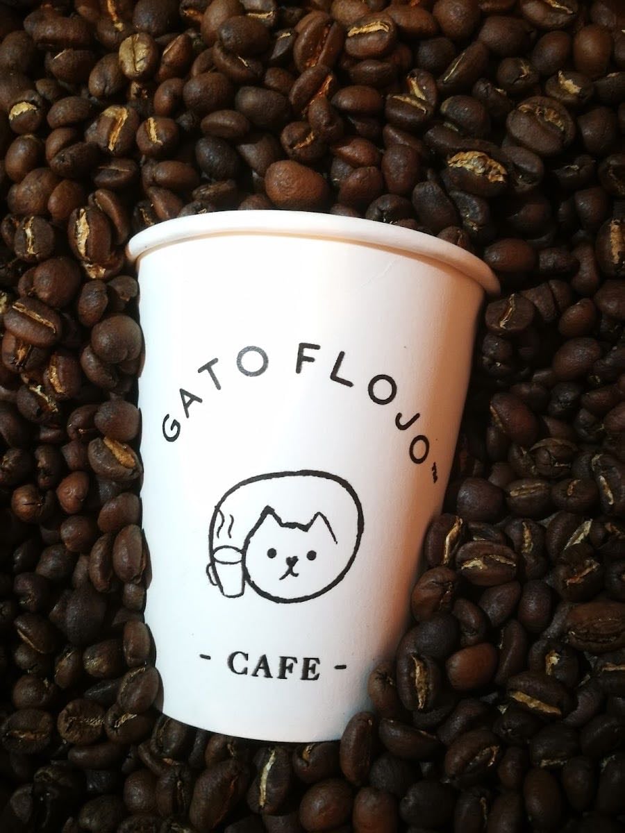 Gatoflojo Café - Tiene el mejor matcha de conce hasta ahora y eso que no me gusta