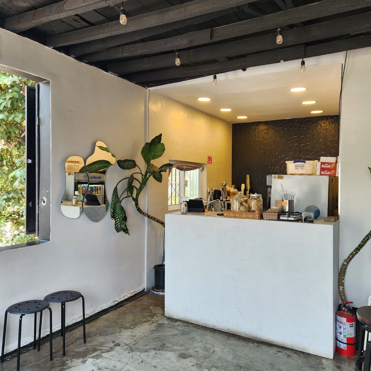 FRNZY COFFEE BAR
