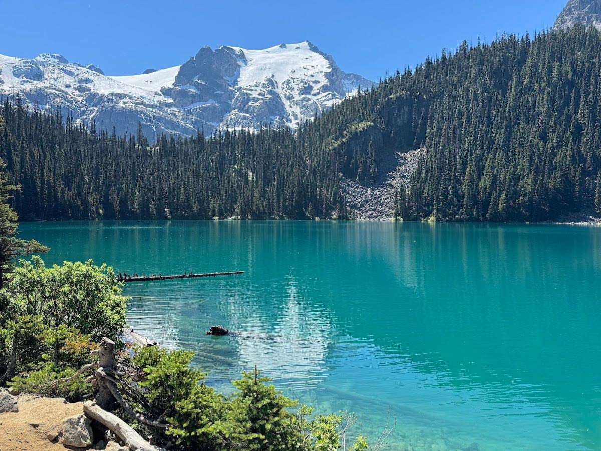 Joffre Lakes Park
