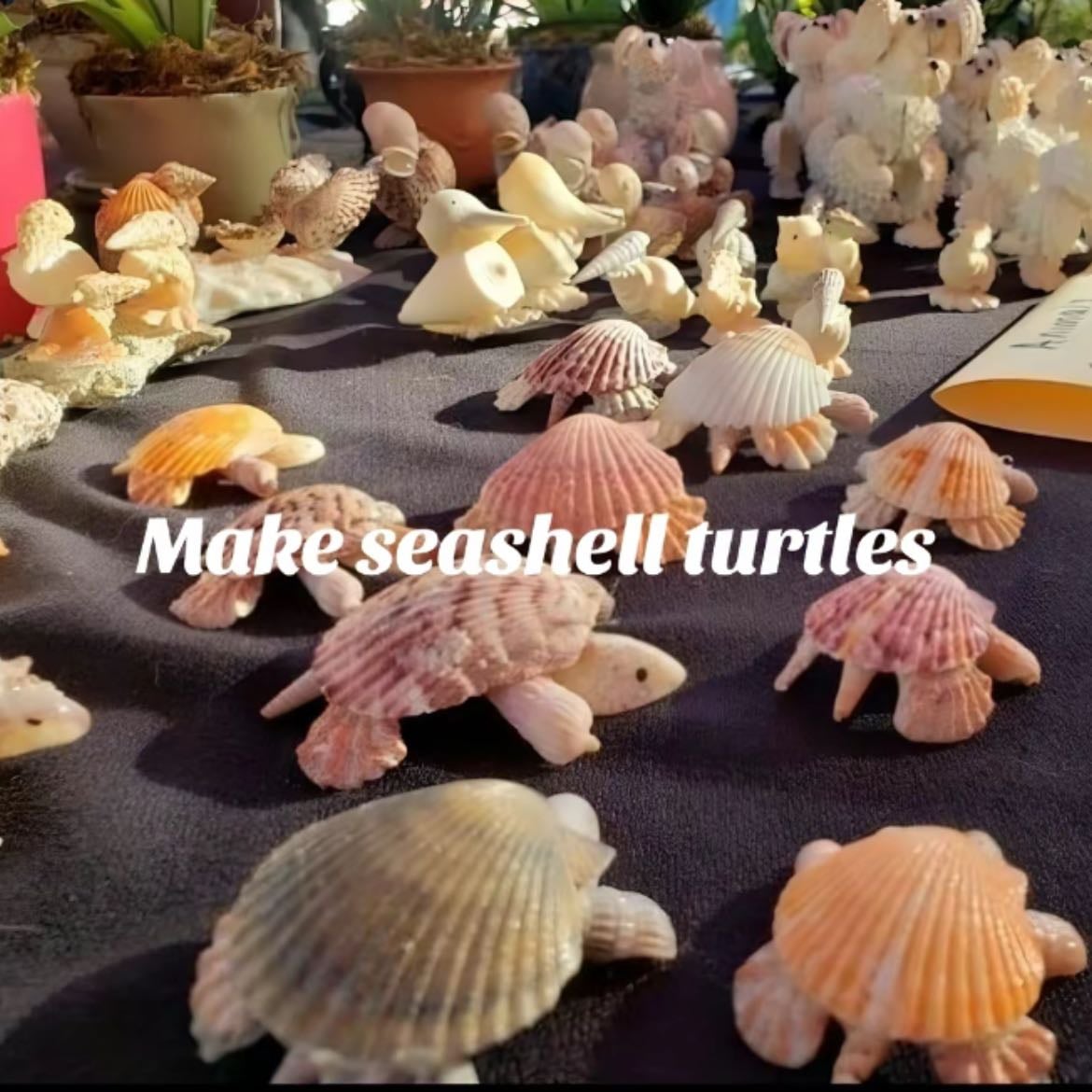Make seashell turtles