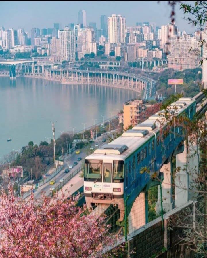 Chine
