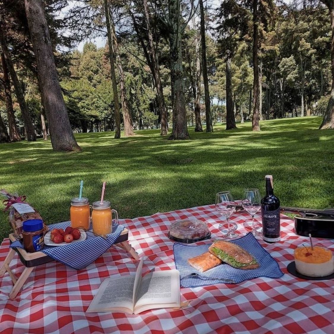 Picnic - Nunca falla