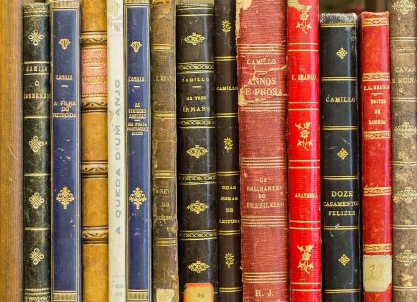 Livros lidos em 2025 - Books hypelist by Daniela Pinheiro
