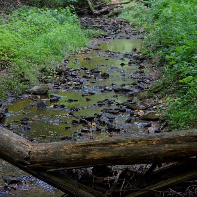 O cheiro de terra molhada no quintal de casa - Lembro que morávamos em uma casa que tinha um grande quintal, e quanto chovia aquele cheiro de terra molhada parecia mais forte ali.