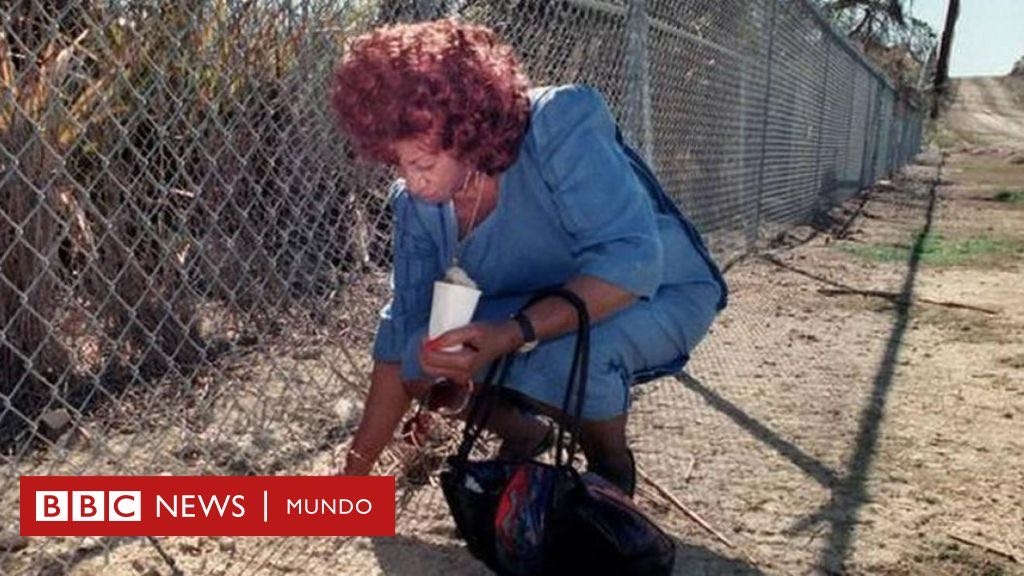 Celia Cruz: el día en que la Reina de la Salsa volvió a tocar suelo cubano tras 30 años en el exilio - BBC News Mundo - BBC News Mundo
