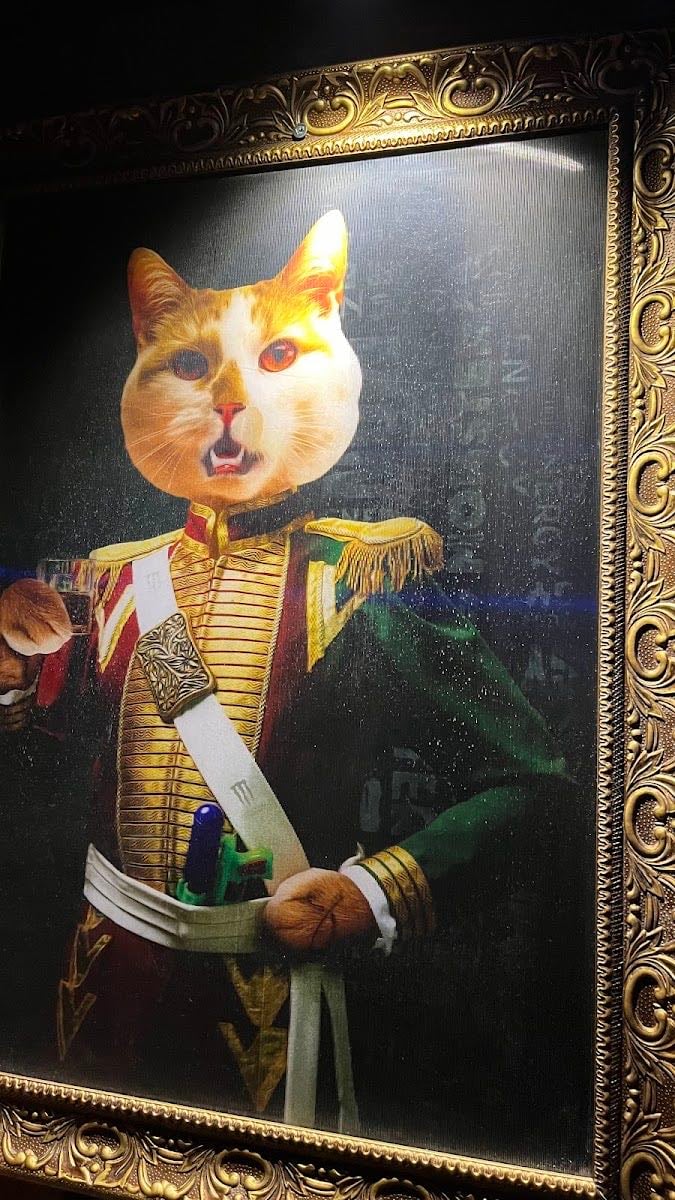 Meow Maison