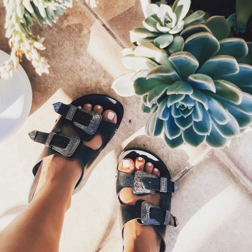 birken