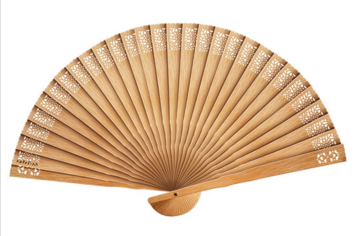 Fan