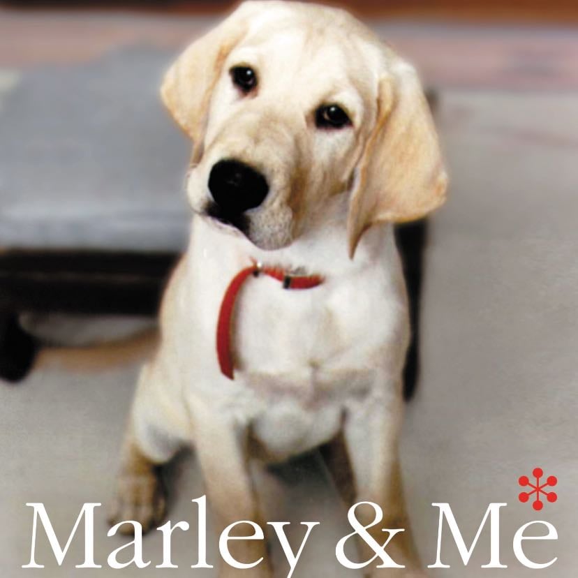 Marley & Me - John Grogan · 2005