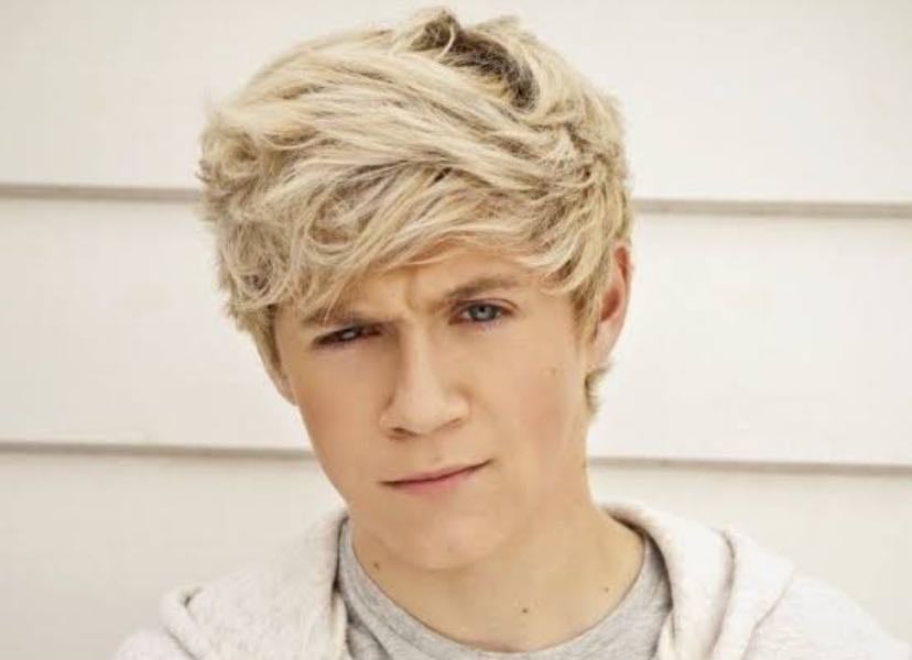 Favourite Niall colabs. - Music hypelist by Mia Grandemange