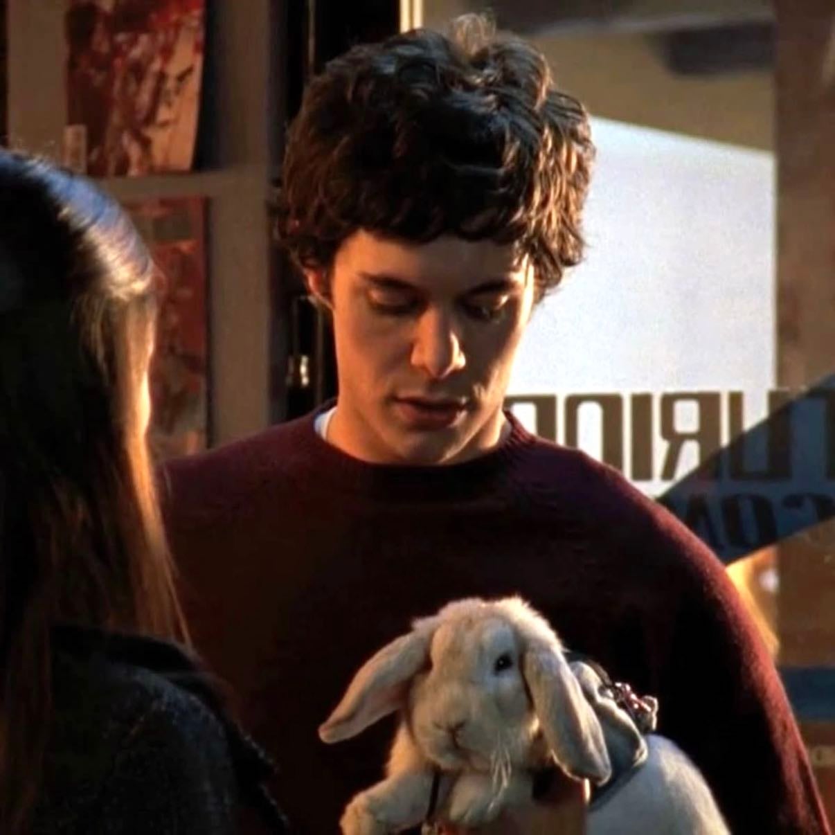 seth cohen - the oc
