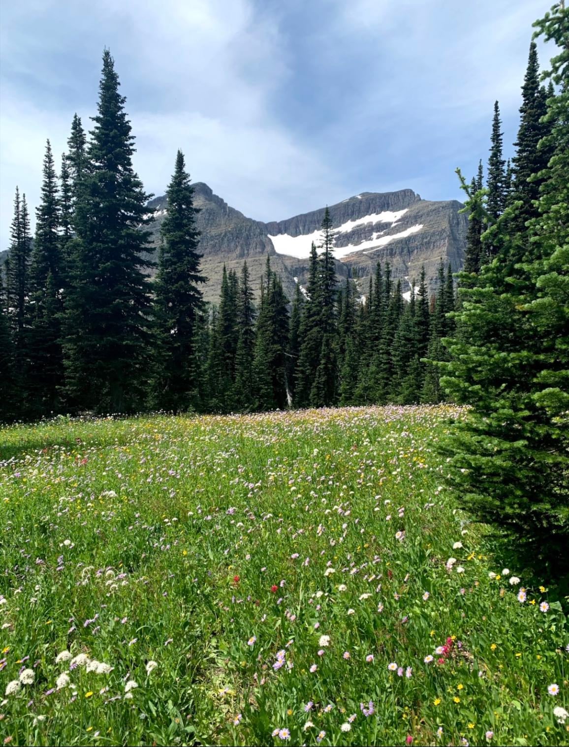 glacier national park - montana
