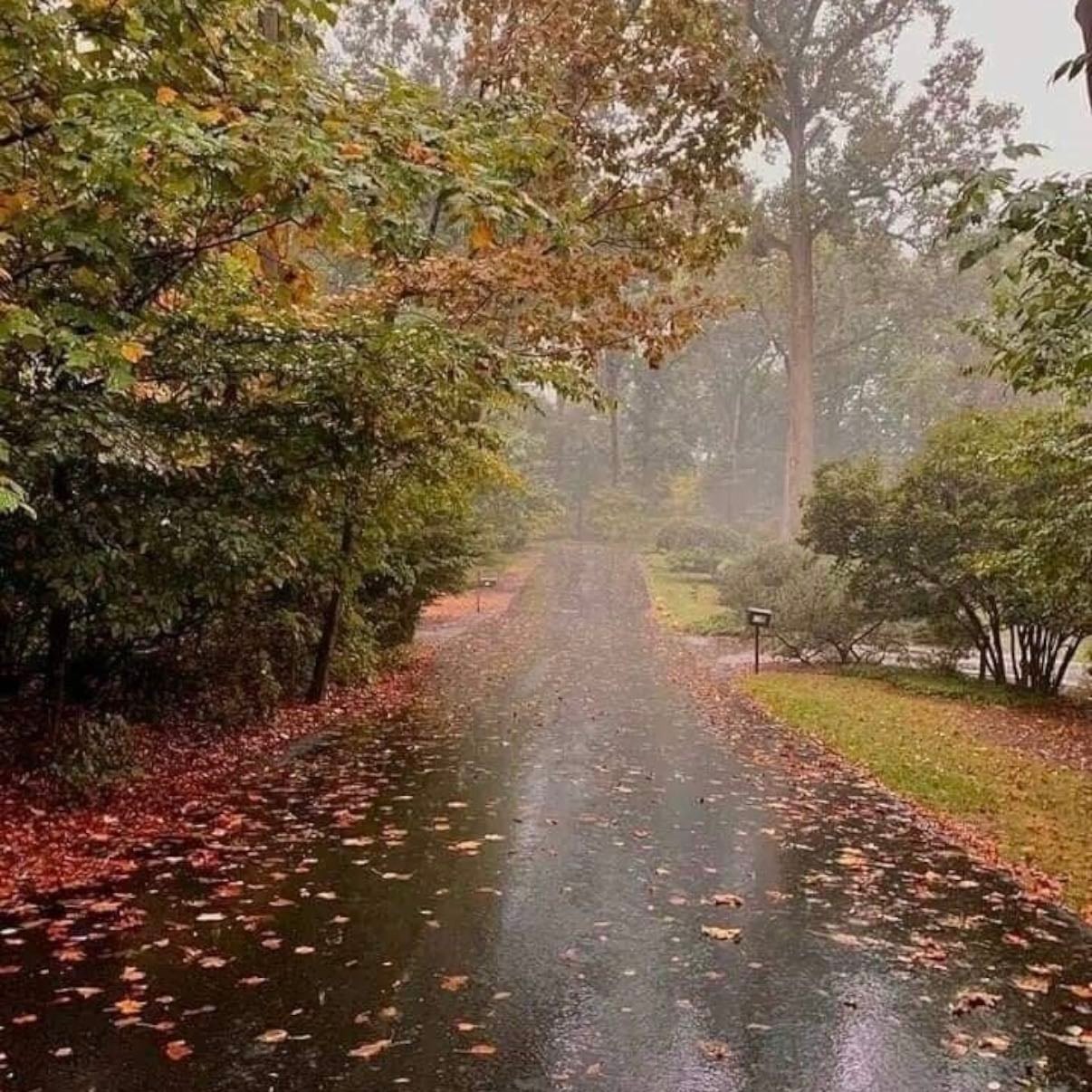 fall