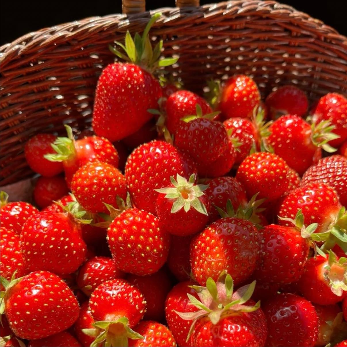 strawberries
