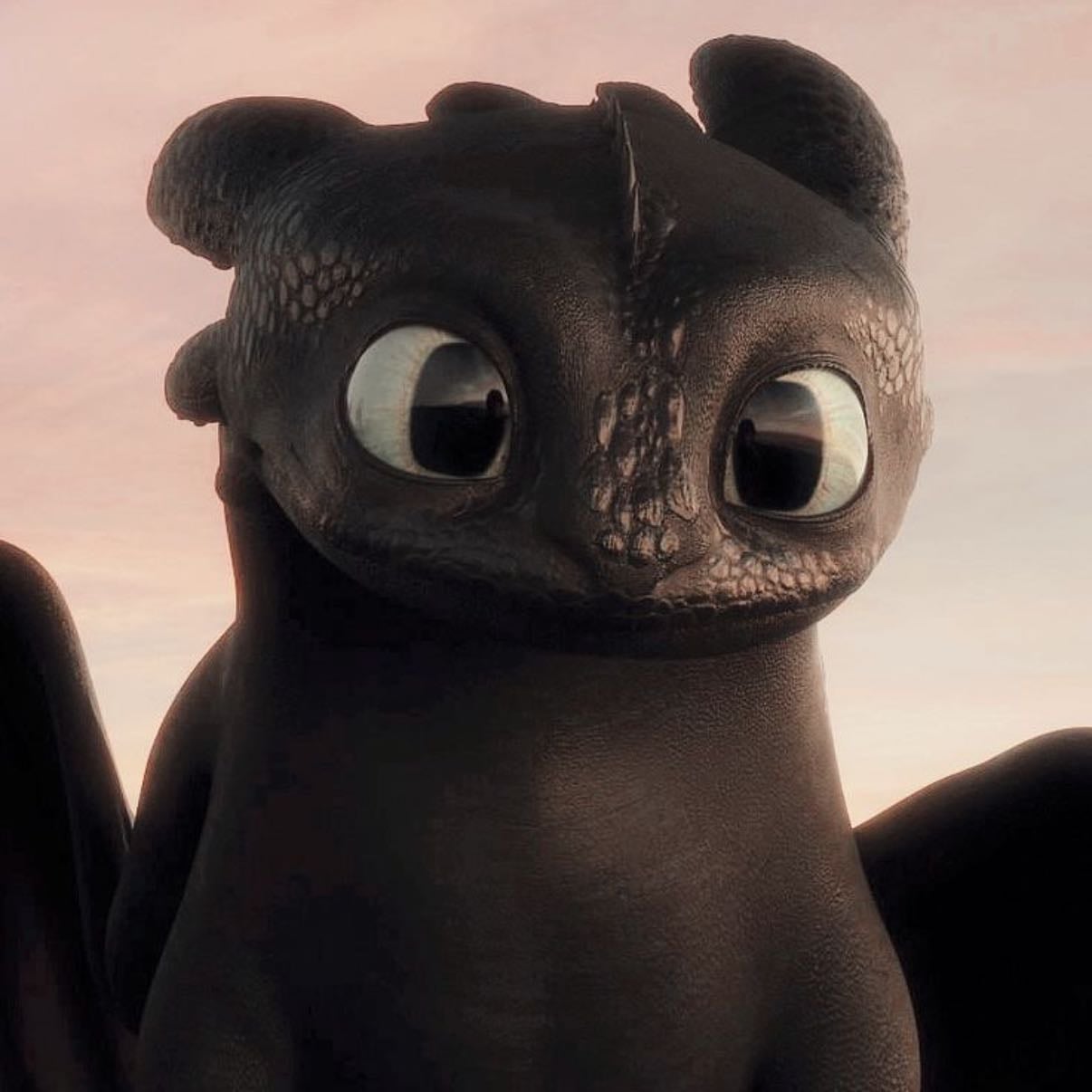 toothless - how to train your dragon