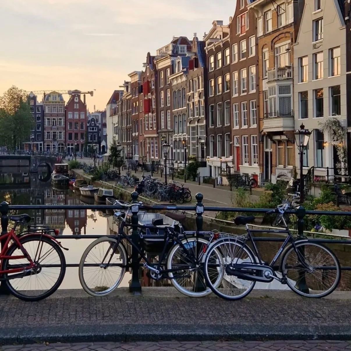 amsterdam - netherlands