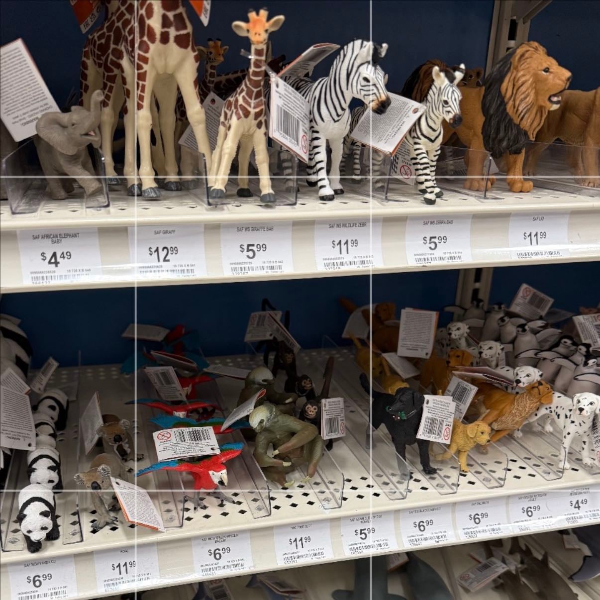 animals