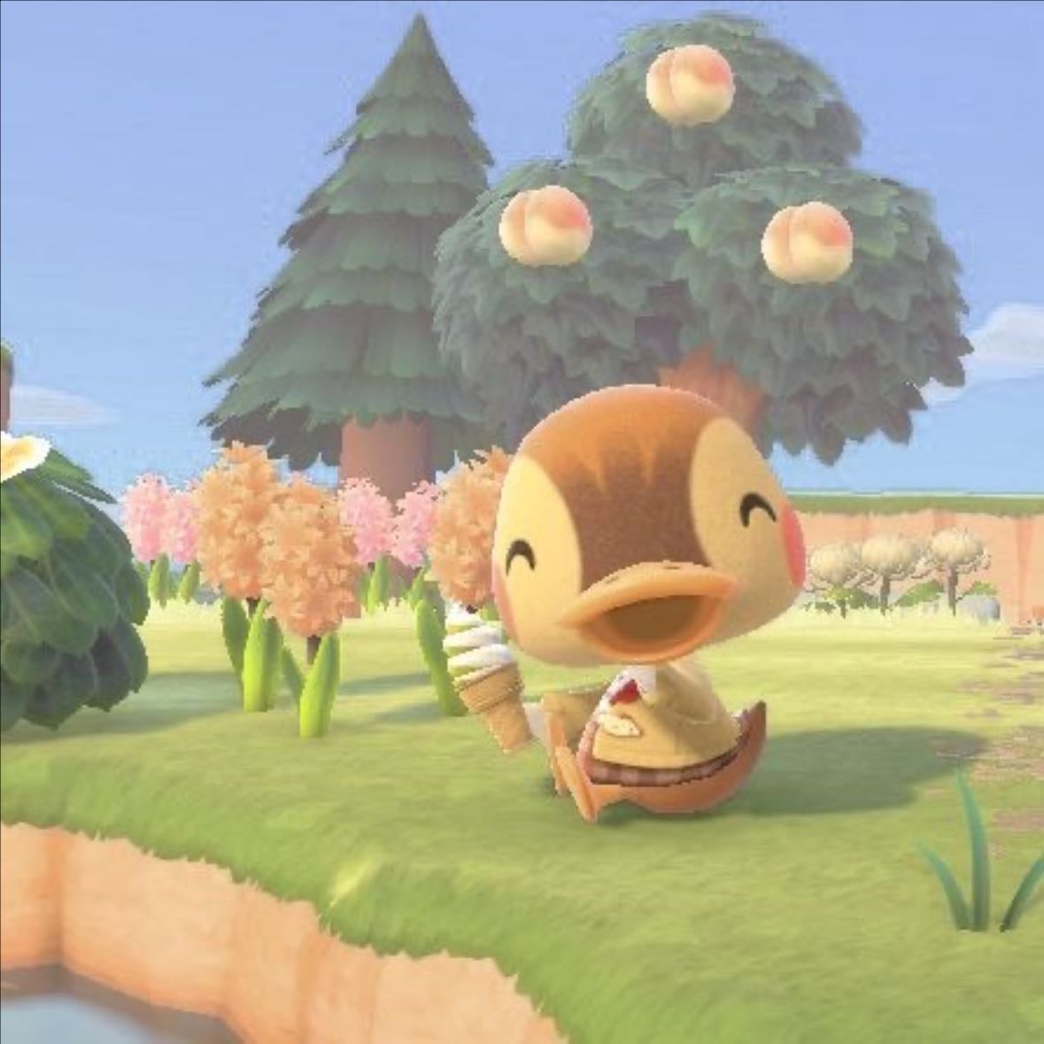 Animal Crossing: New Horizons - Nintendo Switch