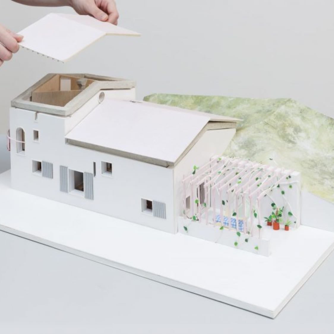 BEAR ARCHITECTS LIMITED