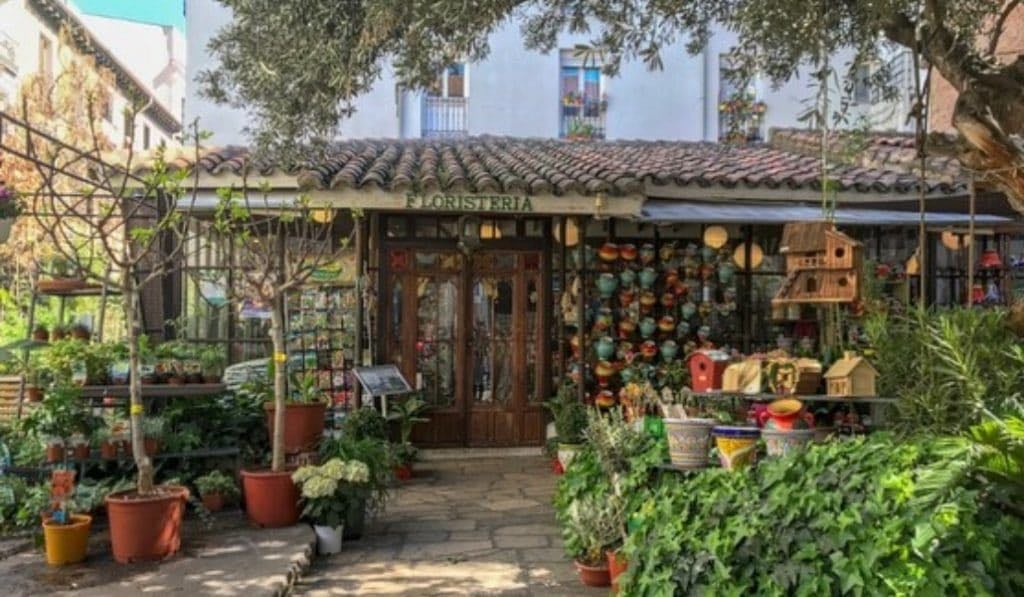 El Ángel del Jardín - Madrid