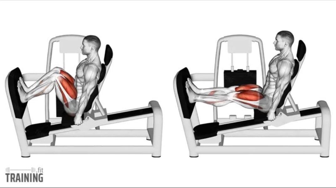4/12 - Leg press