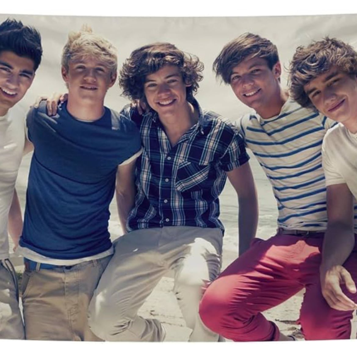 1D tapestry 💜 - $12.99 from- AMAZON