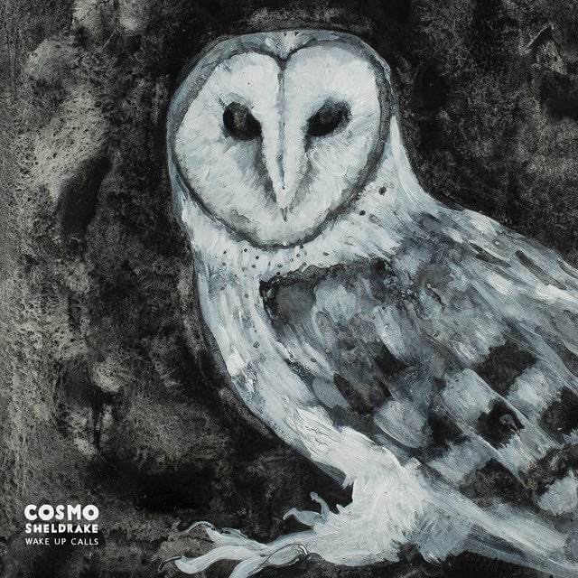 Cuckoo Song - Song · Cosmo Sheldrake
