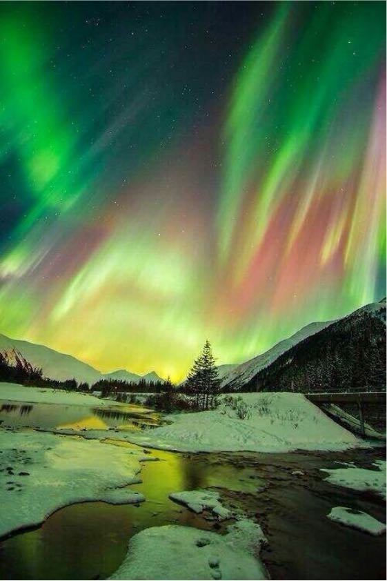 Alaska - Missing snow rn