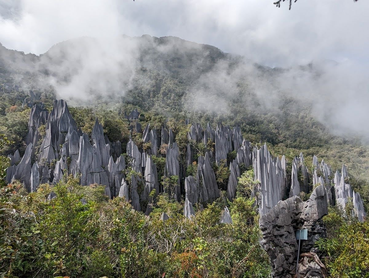 Gunung Mulu National Park