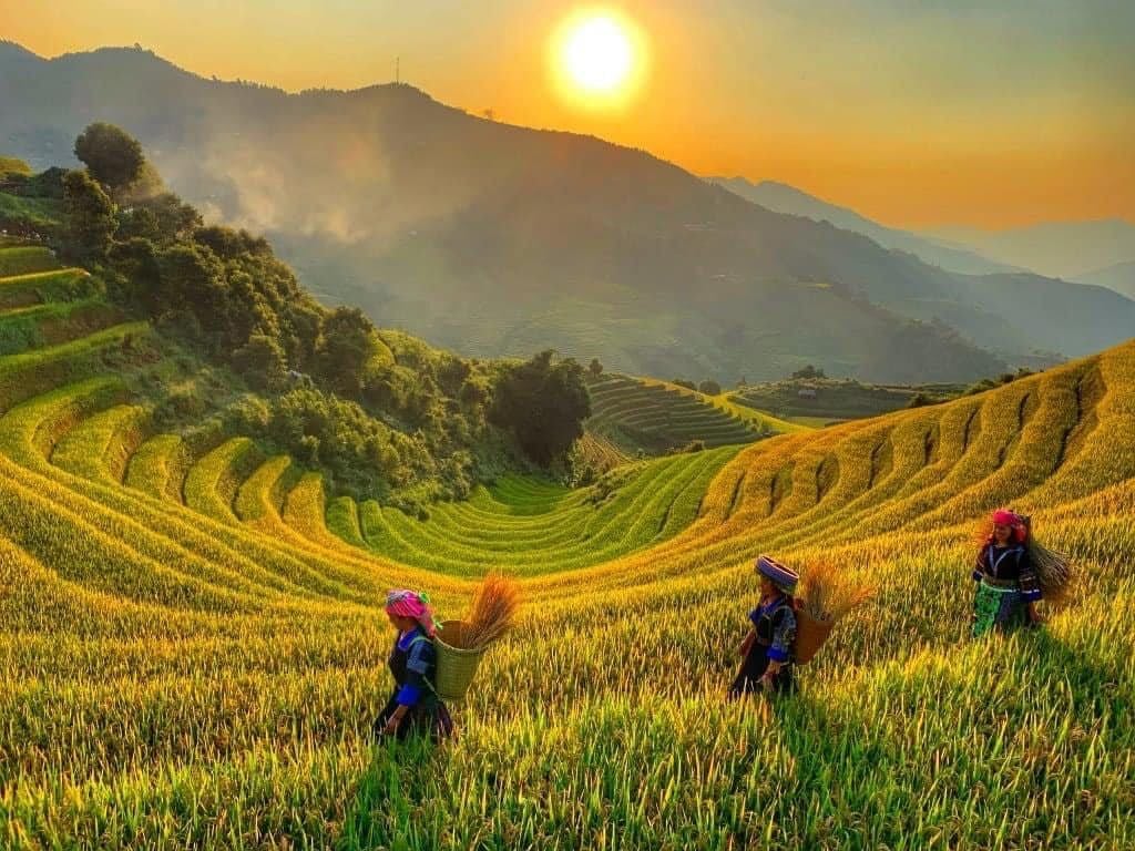 Mu Cang Chai