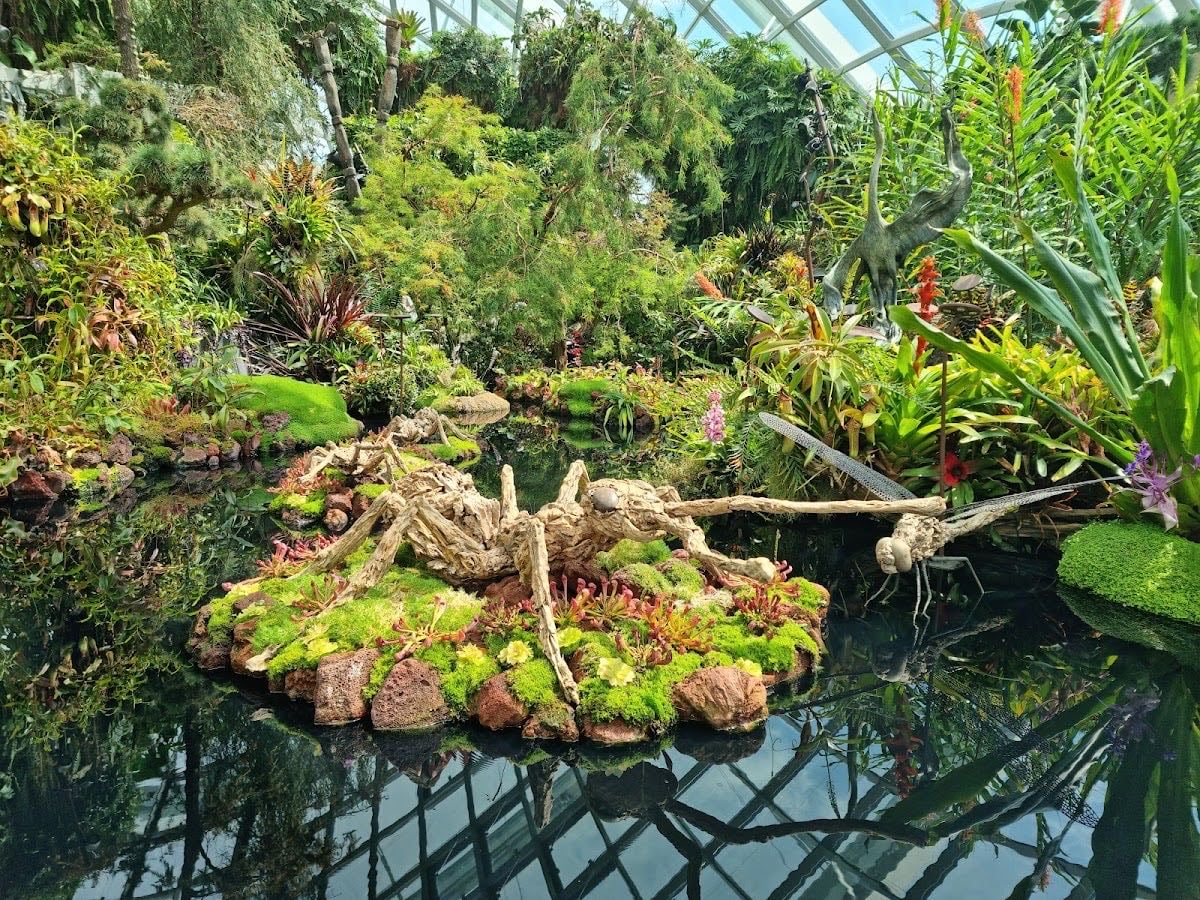 Cloud Forest