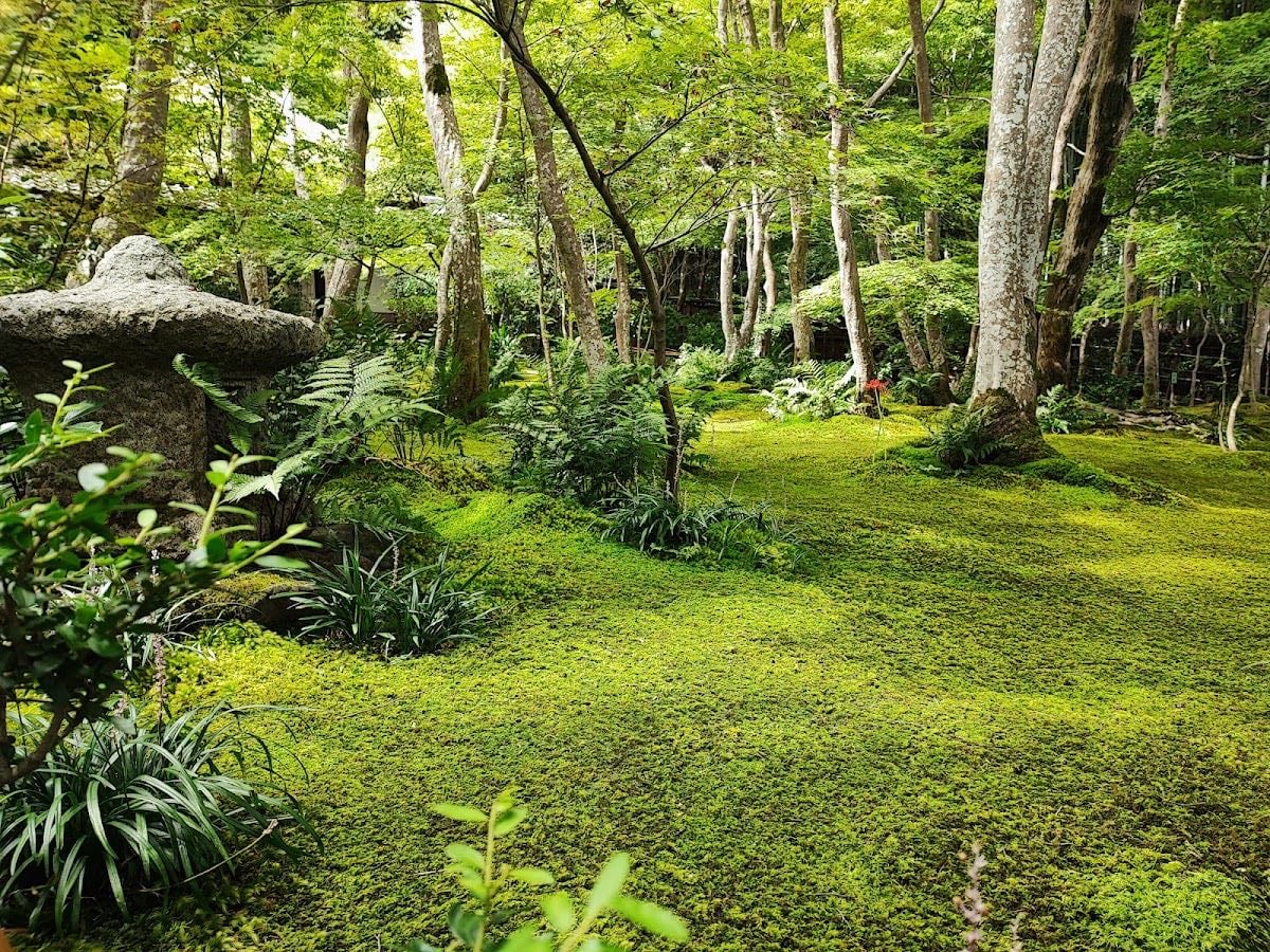 Giōji - garden