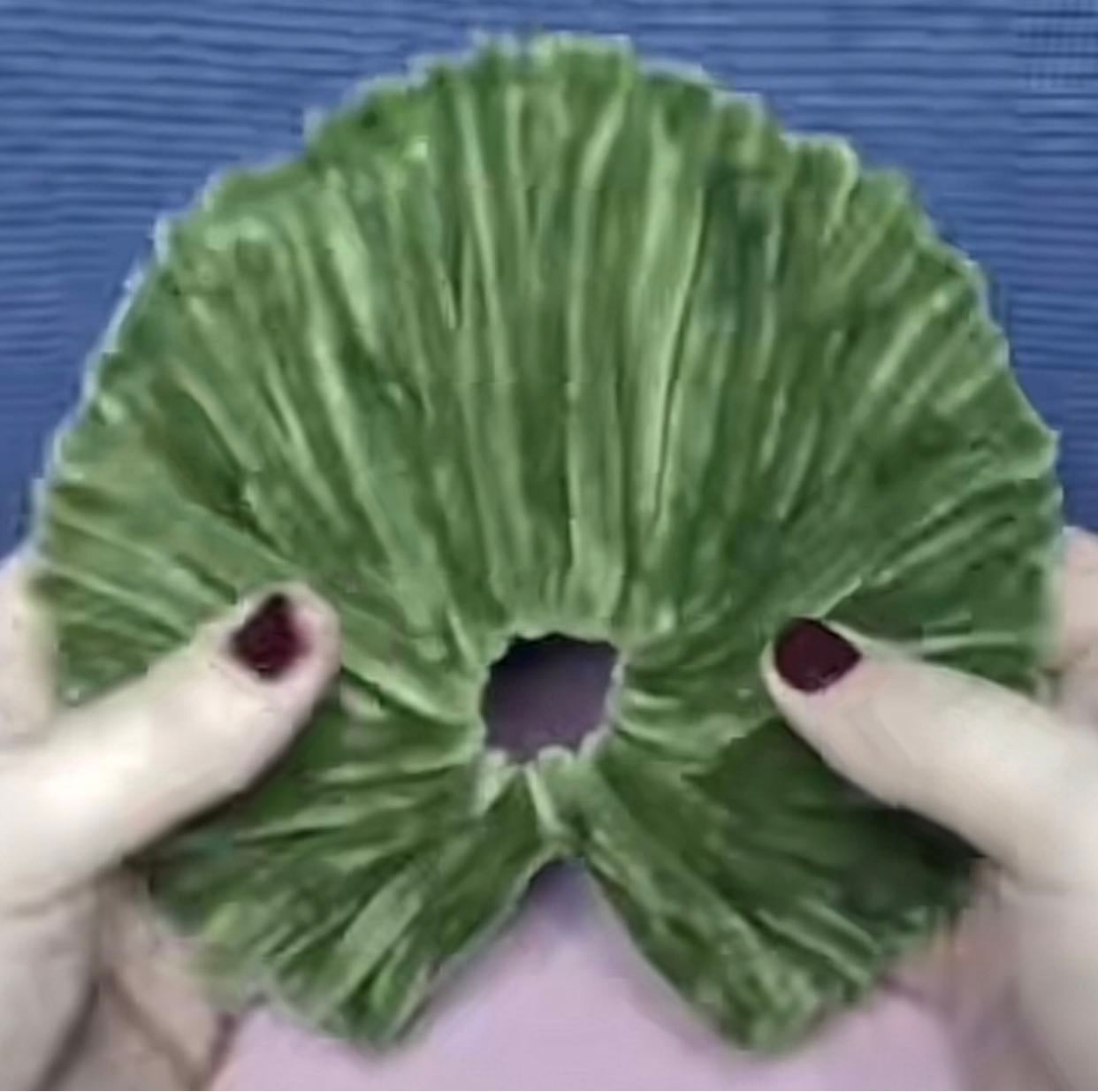 Hoja