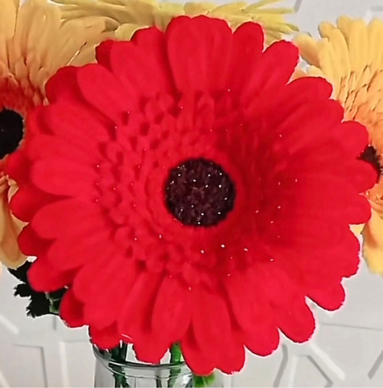 gerbera planchada (parte 2)