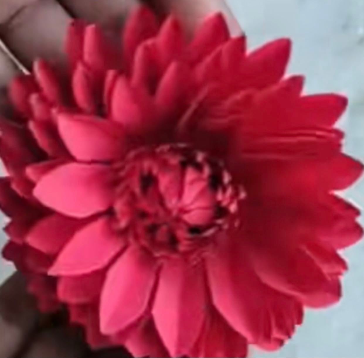 TikTok - Make Your Day - Make Your Day